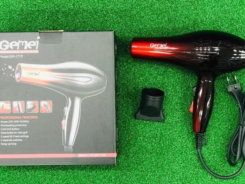 Gemei 1719 Hair Dryer